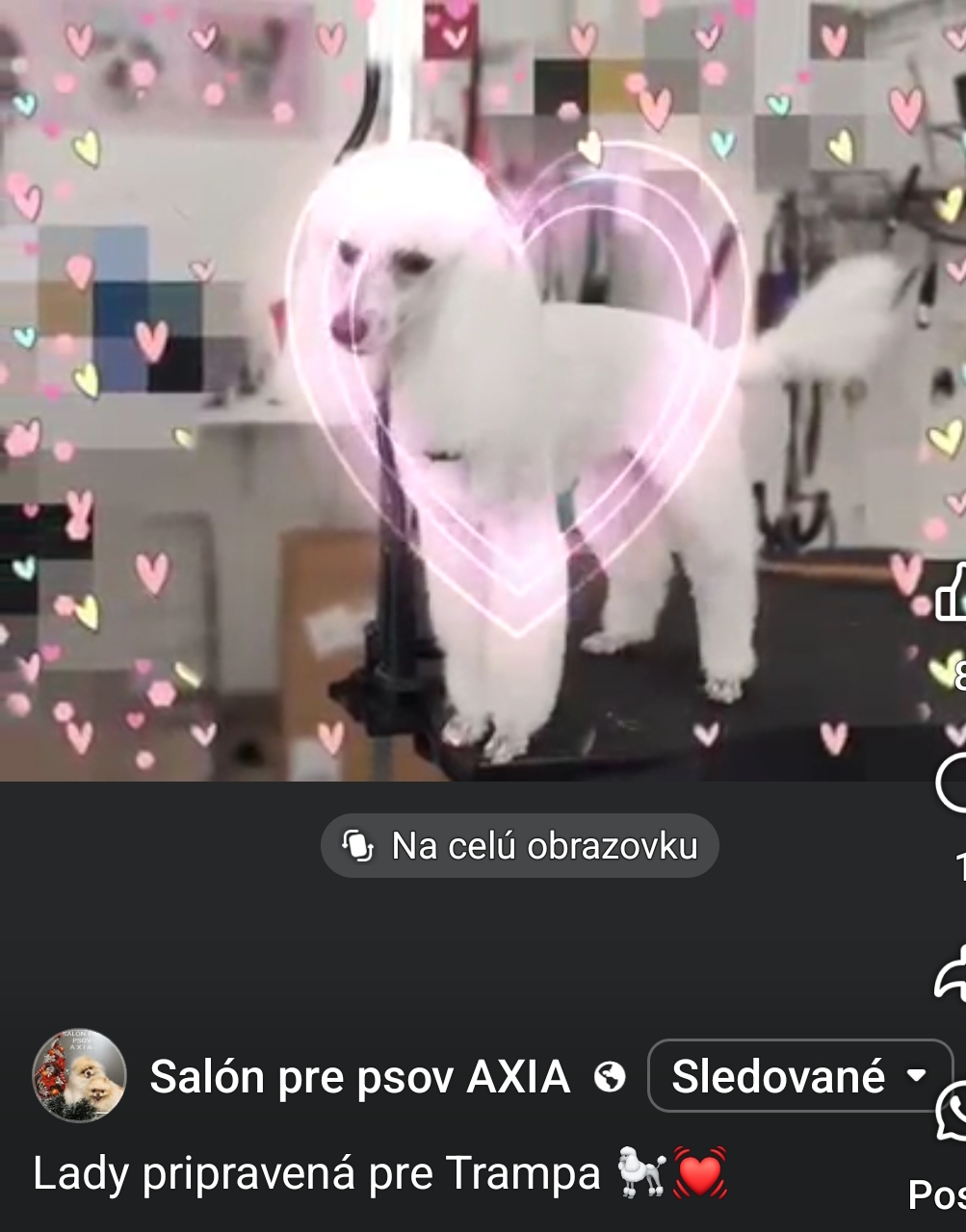1000141249