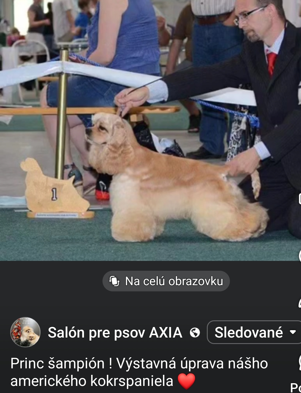 1000141251